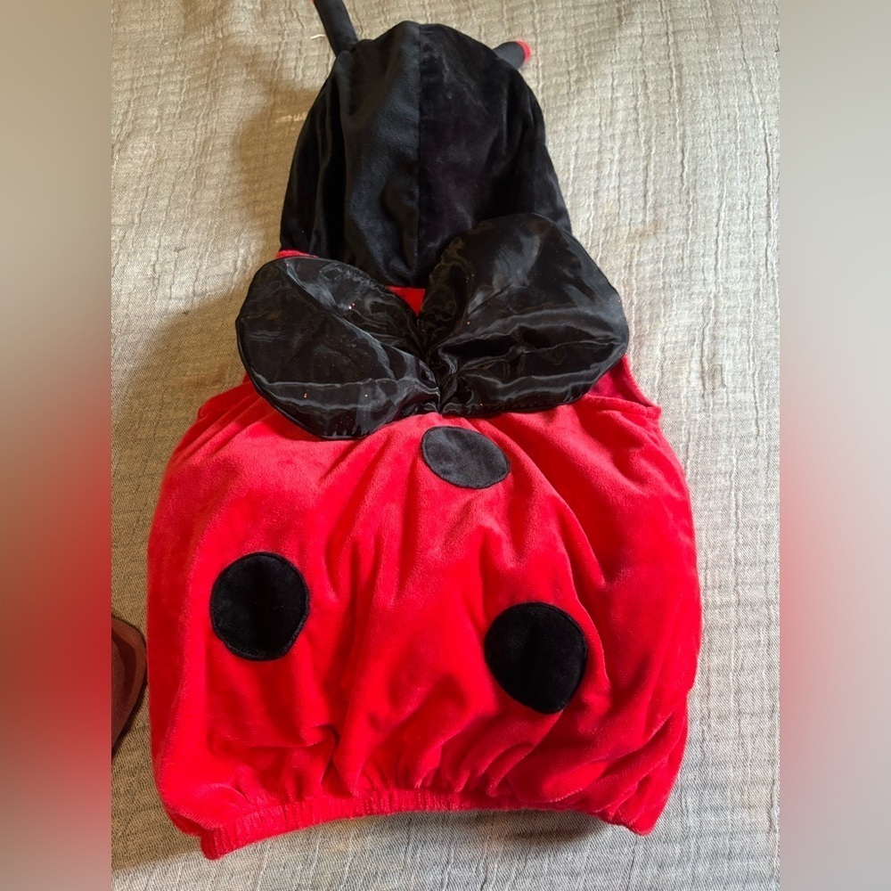 Ladybug Kids Costume - Red and Black